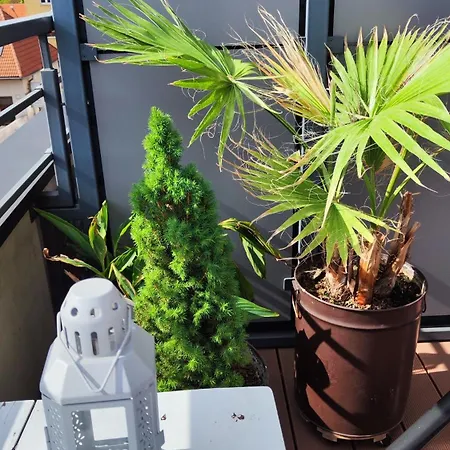 Apartmán Barber's Košice